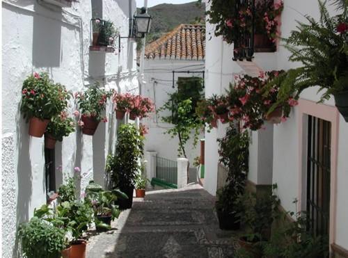 Hotel Posada Del Bandolero Borge Bagian luar foto